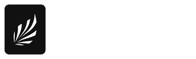 New Odyssey